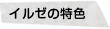 イルゼの特色